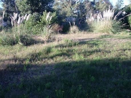 Terreno En San Luis