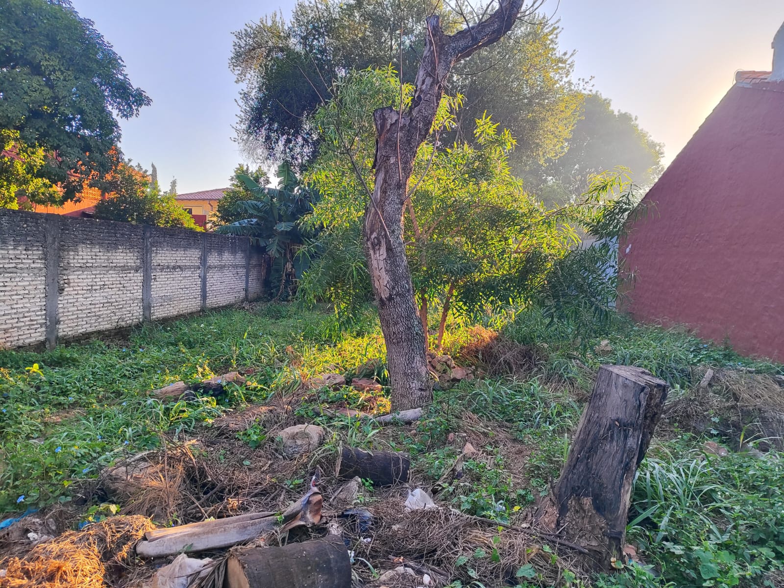 En Venta Terreno sobre asfalto en Mariano Roque Alonso — foto 3