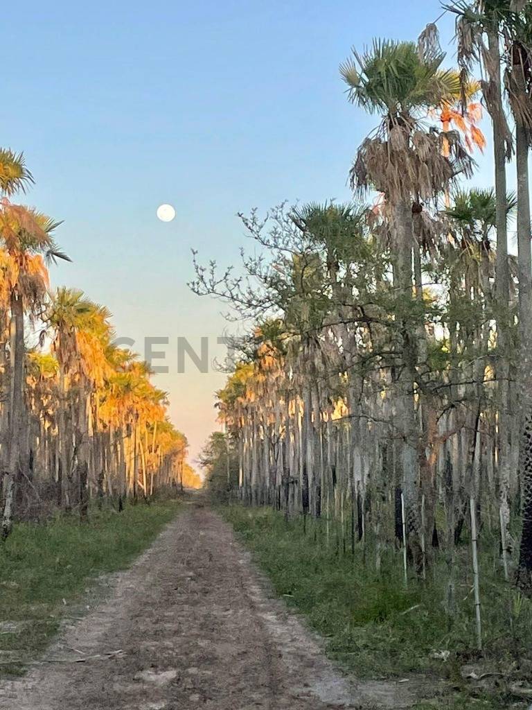 Estancia De 7.686 Ha. En Fuerte Olimpo — foto 2