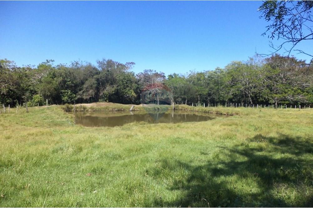 Vendo Estancia Ganadera de 65 Hectáreas es Isla Pucu — foto 2