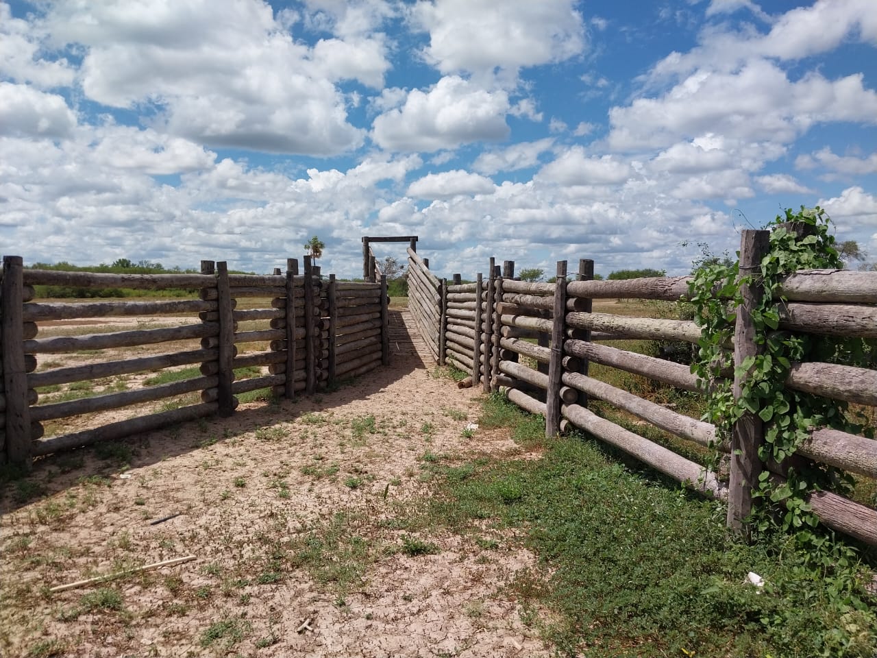 EN VENTA ESTANCIA DE 2293 HA EN VILLA HAYES — foto 3