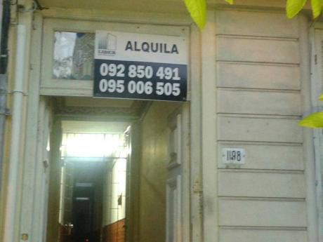 Alquilo Apartamento En Pocitos