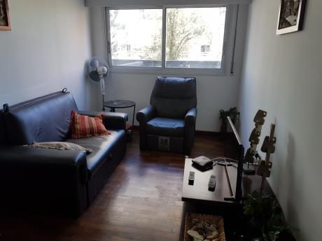Alquiler Apartamento 1 Dormitorio Con Muebles Punta Carretas