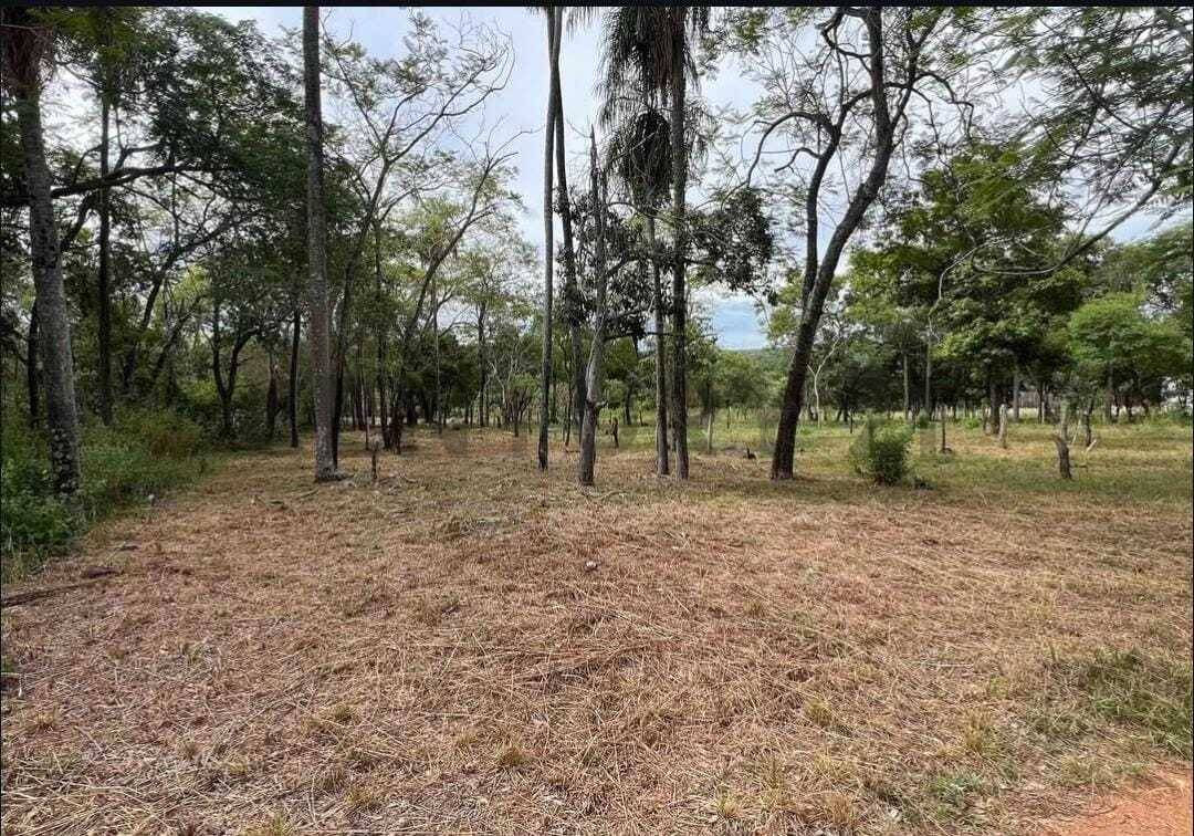 EN VENTA AMPLIO TERRENO EN SAN BERNARDINO ZONA CIERVO CUA — foto 2
