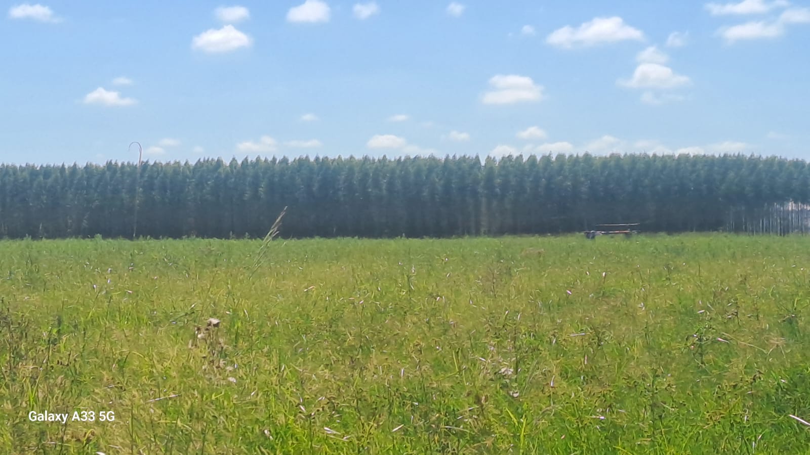 VENDO ESTANCIA - Coronel Oviedo – Caaguazú, Paraguay — foto 2