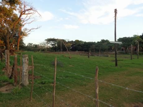 Av. "g77" Terreno En Venta
