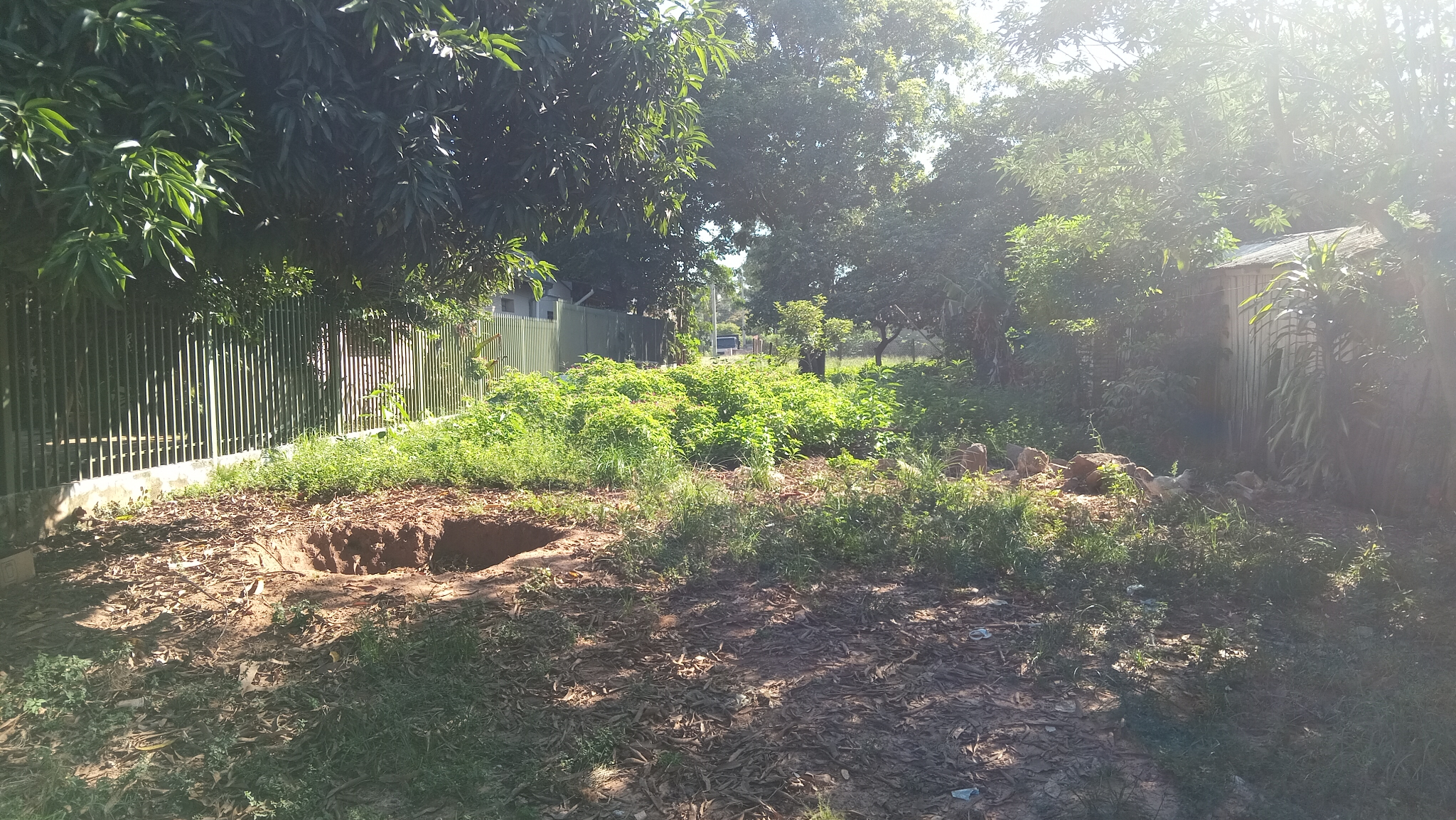 VENDO TERRENO EN CNEL OVIEDO — foto 2