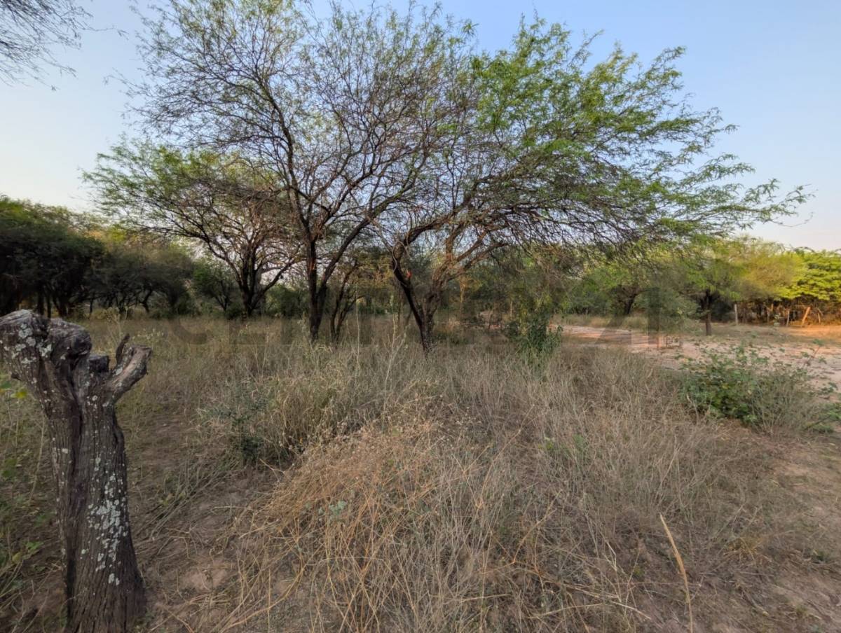 Venta de Terreno en Cruce Boquerón, Boquerón — foto 2