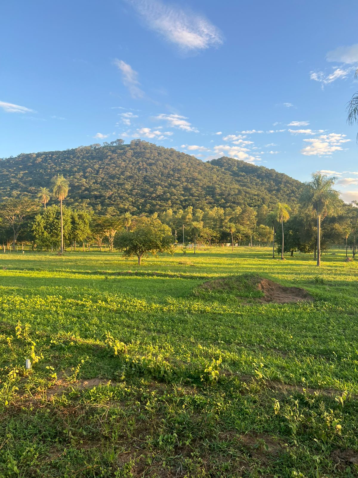 Terreno en venta en Paraguarí — foto 3