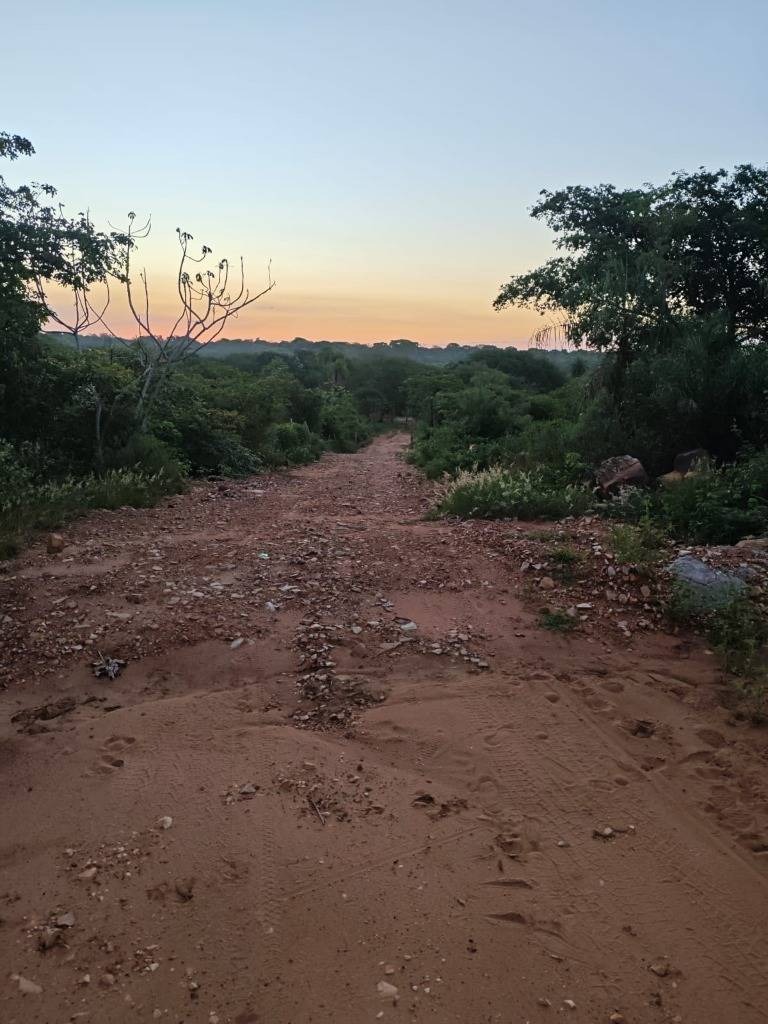 Vendo terreno de 10 Hectareas en Emboscada — foto 3