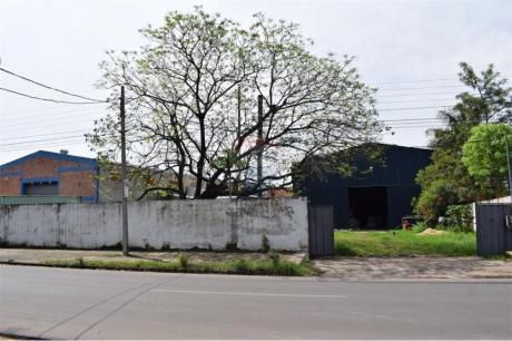 Terreno Con Tinglado En Villa Aurelia