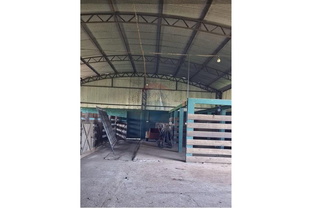 VENDO GRANJA PRODUCTIVA A PASOS DEL CENTRO DE SANTA RITA — foto 2