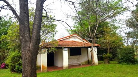 Casa 2 Dormitorios Y Apto Dos Ambientes Próxima Al Bus Y Centro