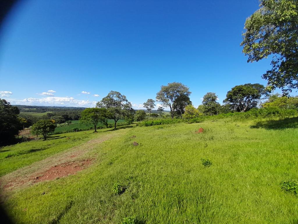 Vendo Campo En Itapua - Federico Chavez — foto 3