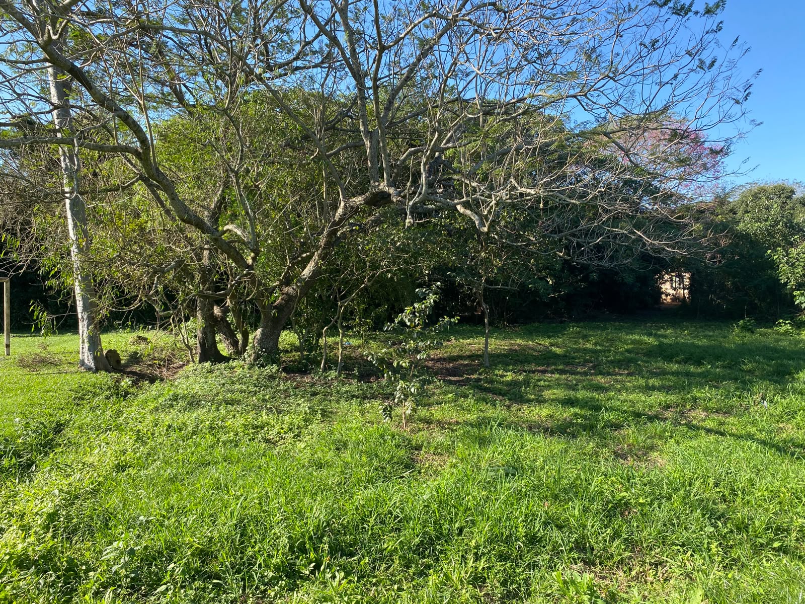 Vendo Terreno Titulado Gs. 85 Millones — foto 3