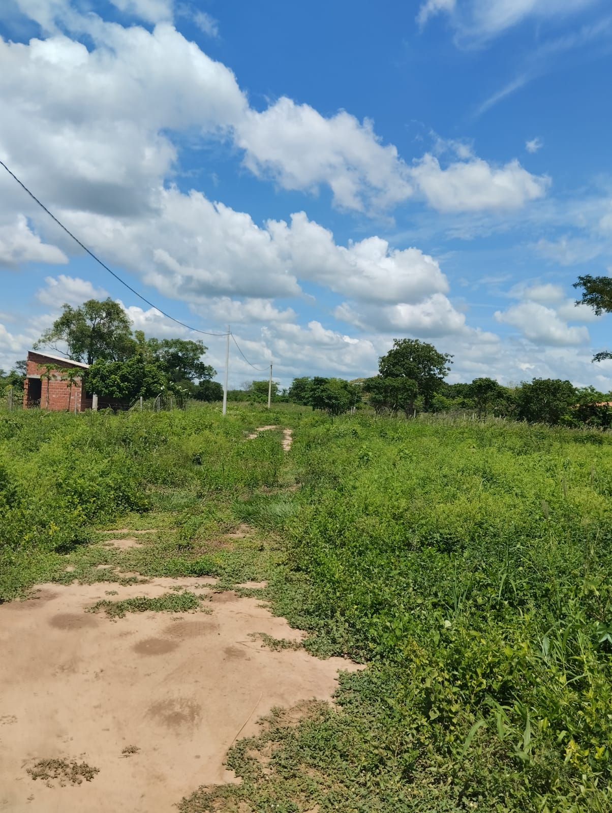 Terreno En Venta De Ocasion Charlable