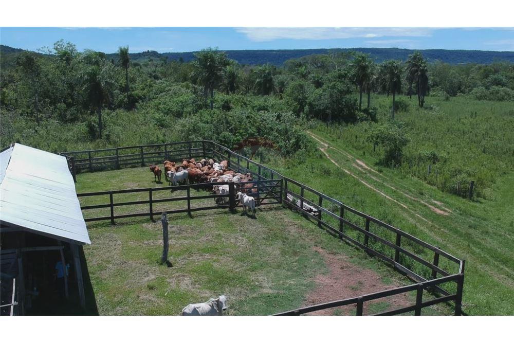 VENDO CAMPO - ESTANCIA EN PARAGUARI-MBUYAPEY — foto 2