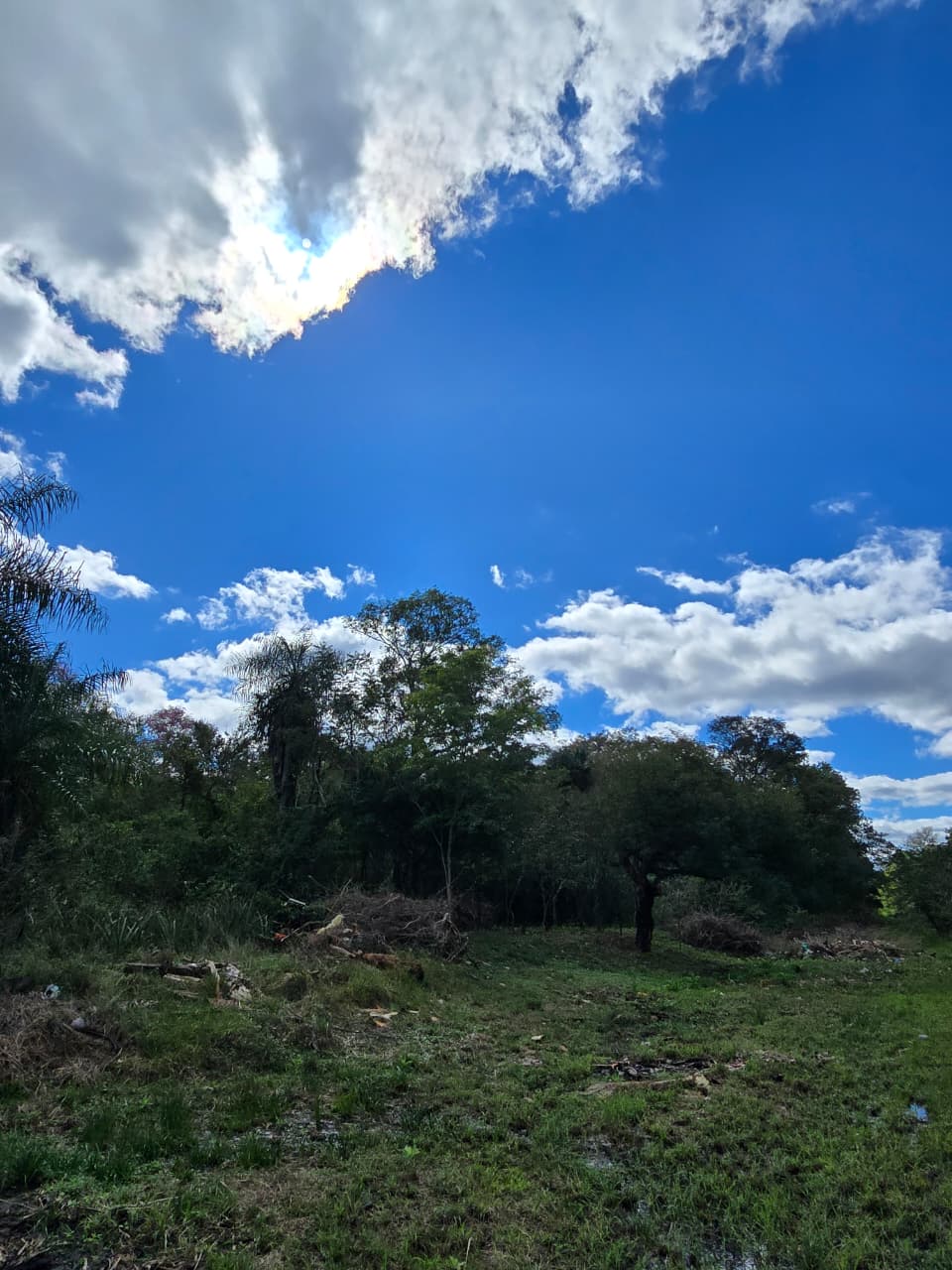 VENDO TERRENO EN SAN BERNARDINO — foto 3