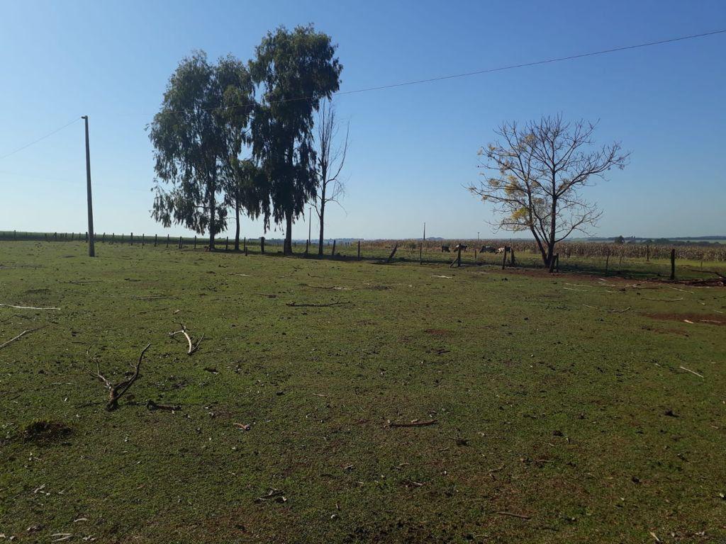 Campo en venta en Santa Rita — foto 3