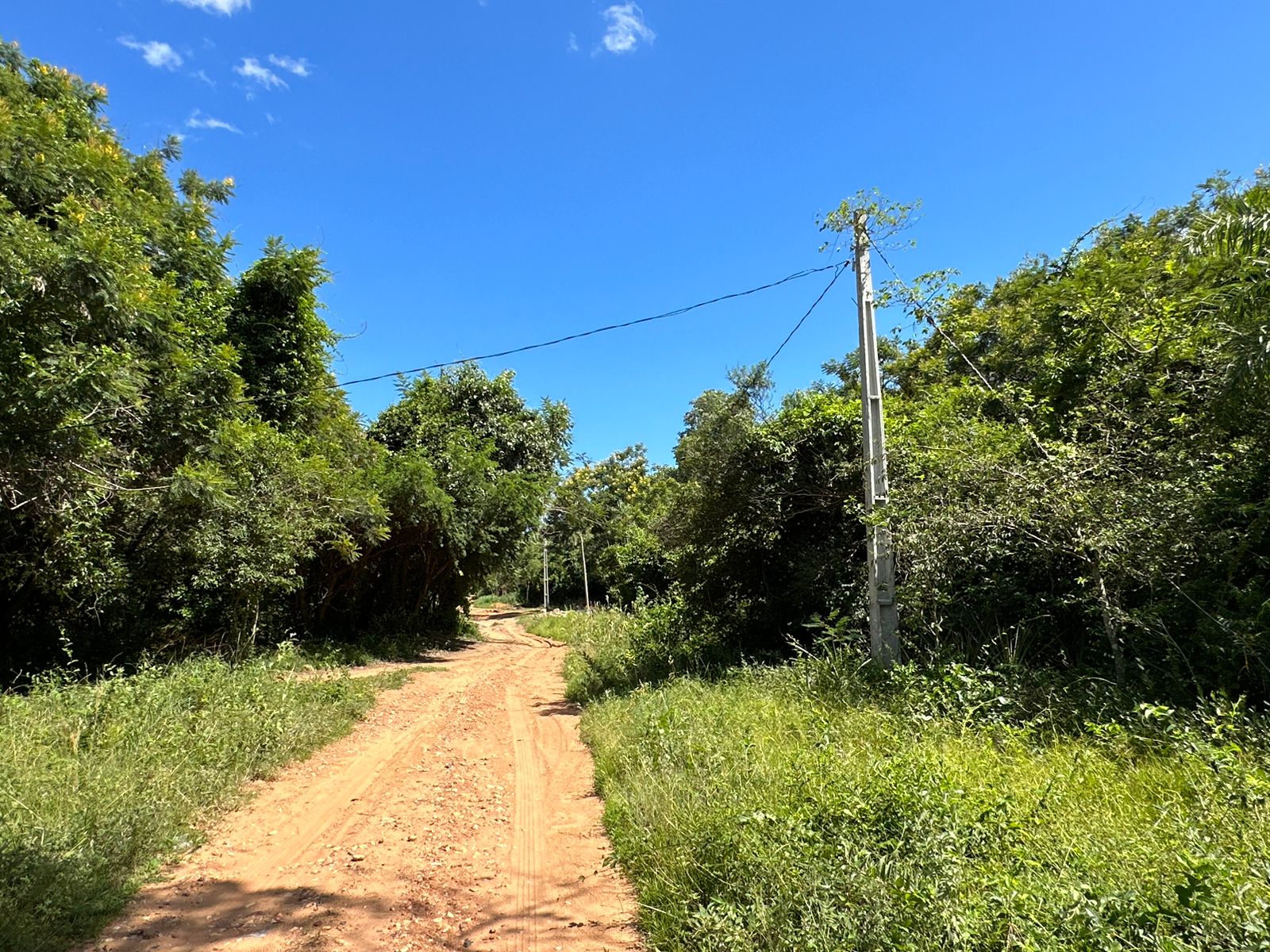 En venta 3 lotes juntos en San Bernardino - Ciervo Cua — foto 2