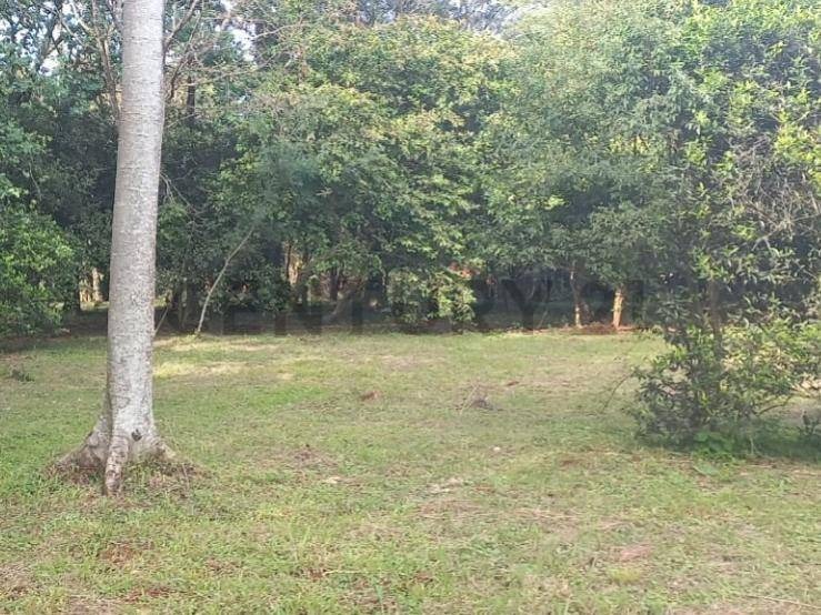 VENDO ESPECTACULAR PROPIEDA EN ENCARNACION — foto 3