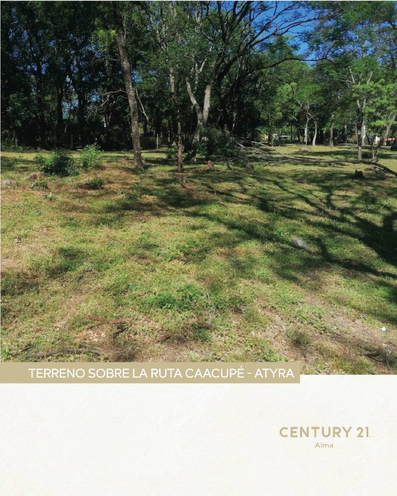 Terreno 3 ha Caacupe  TERRENO EXCLUSIVO SOBRE RUTA CAACUPÉ – ATYRÁ — foto 3