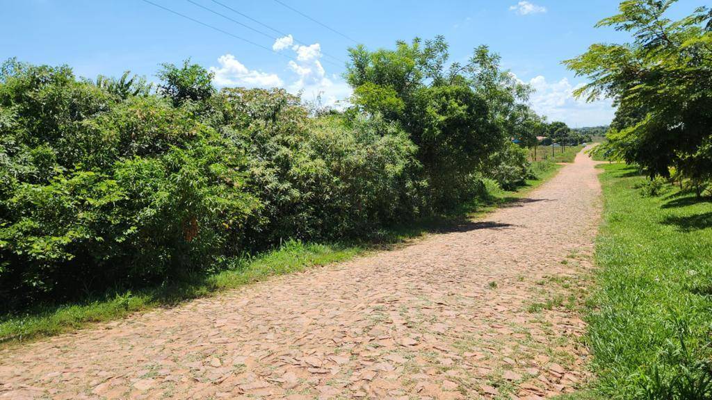 VENDO Terreno 2400 m2 - La Colmena, Paraguari — foto 2