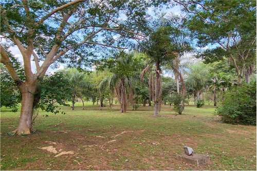 Terreno-Venta-Prof. Elba Correa de Apud, San Bernardino, Cordillera — foto 3