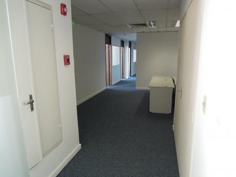 Alquilo Oficina De 215 M2 Zona Paseo La Galería