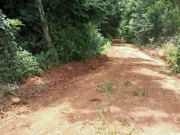 TERRENO EN VENTA – 70 HAS SOBRE EL RÍO PARANÁ  DISTRITO CAPITÁN MEZA – ITAPÚA — foto 2