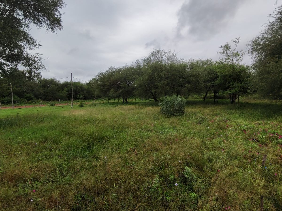 EN VENTA TERRENO EN CHACOI - NUEVA ASUNCION — foto 2