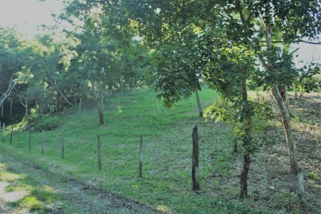 Venta De Terreno