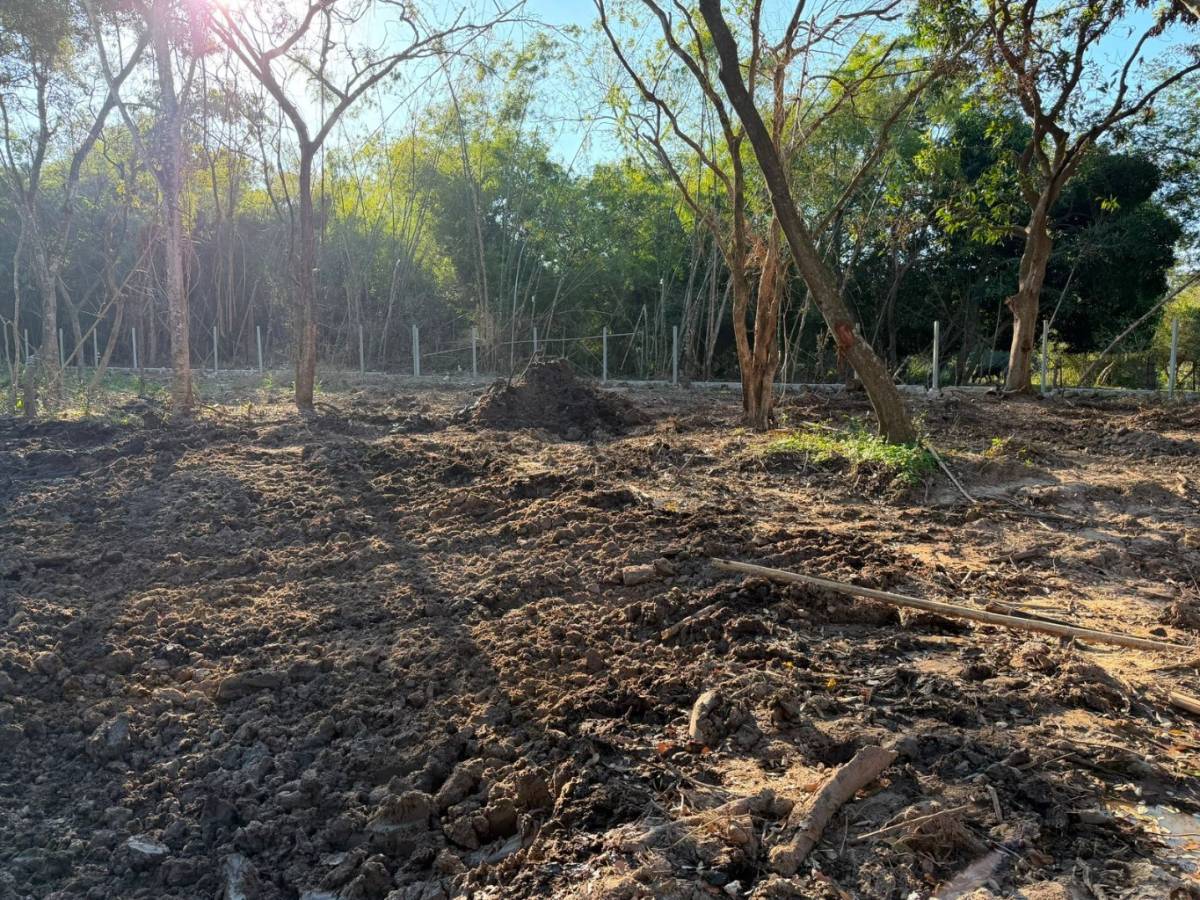 Terreno 227 m² en Barrio Cerrado | Luque — foto 2