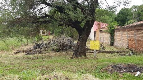 Oferta Terreno Sobre La Av. Laguna Grande