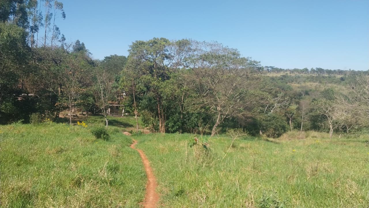 Vendo Hectareas a pocos metros de la ruta PY02 en caaguazu — foto 3