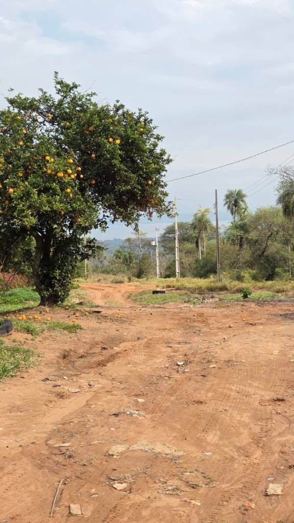 TERRENO EN SAN BERNARDINO ZONA AQUABRAVA — foto 3