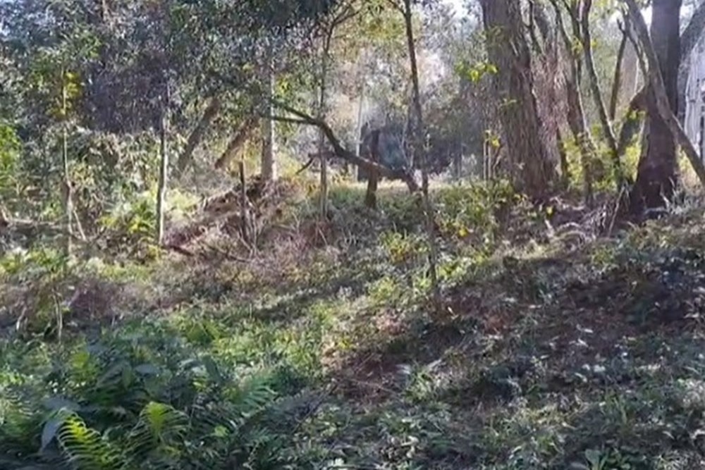 Terreno - Venta - Pirayú, Paraguay — foto 3
