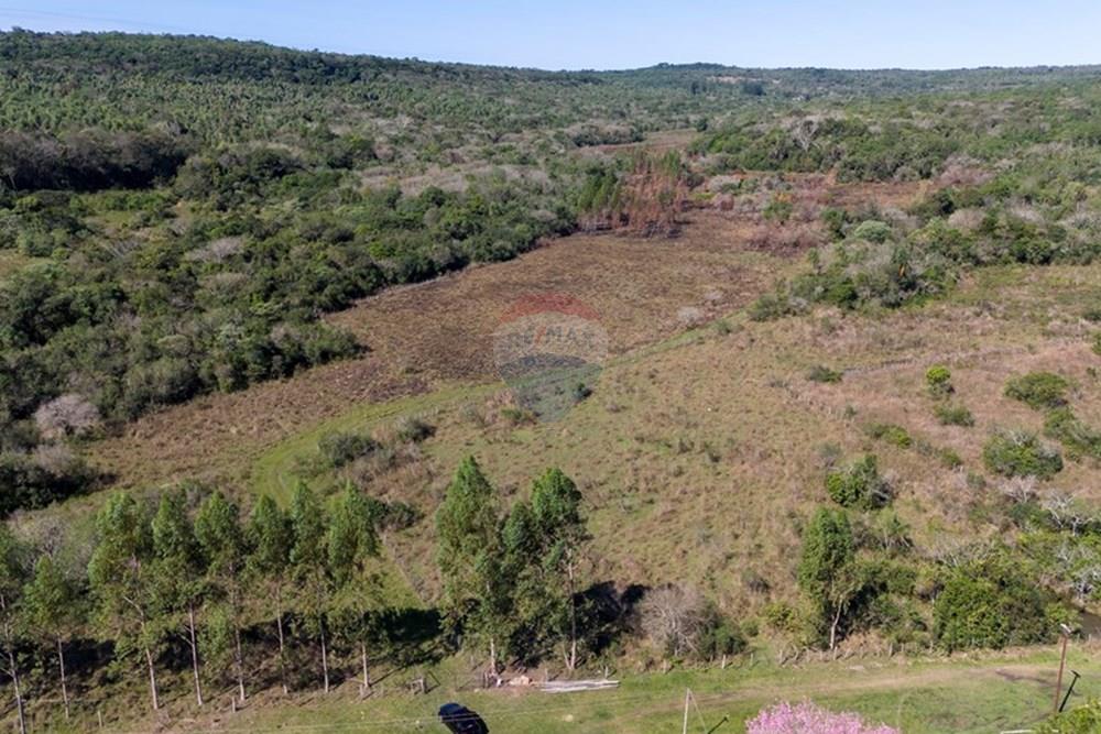 VENDO 43 HECTAREAS FERTILES EN PIRIBEBUY CORDILLERA — foto 2