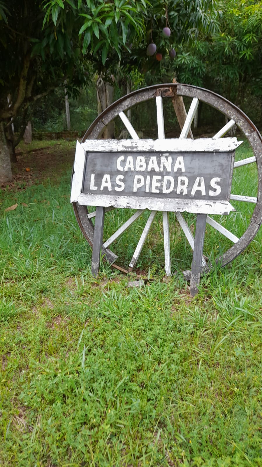 En Venta hermosa y amplia propiedad en Piribebuy Cordillera! — foto 2
