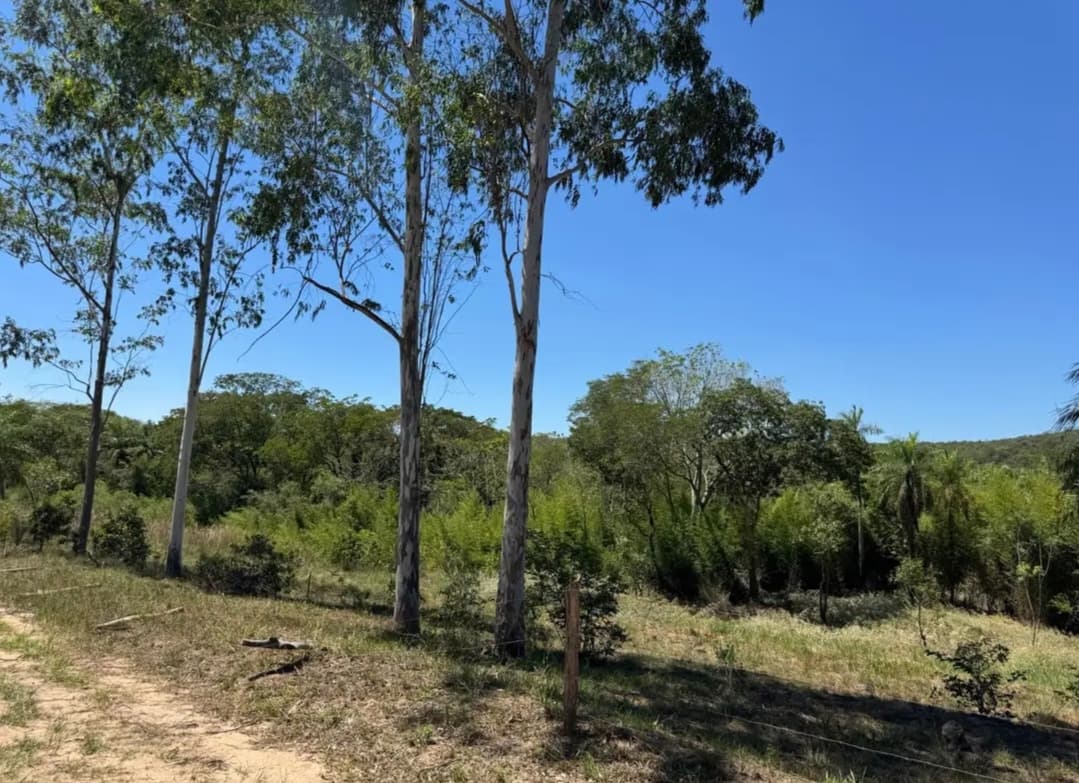 VENDO EN LOMA GRANDE — foto 2