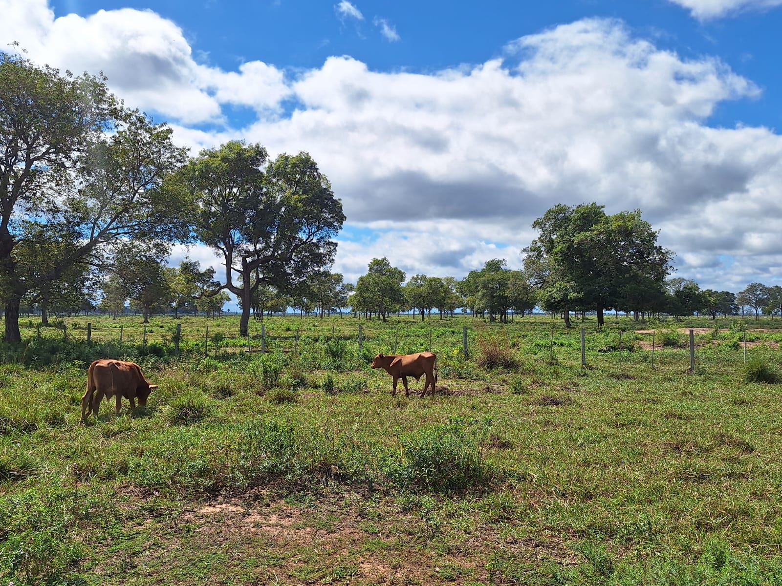 ¡Oportunidad Única! Venta de hermosa Estancia en Horqueta- Concepción — foto 2