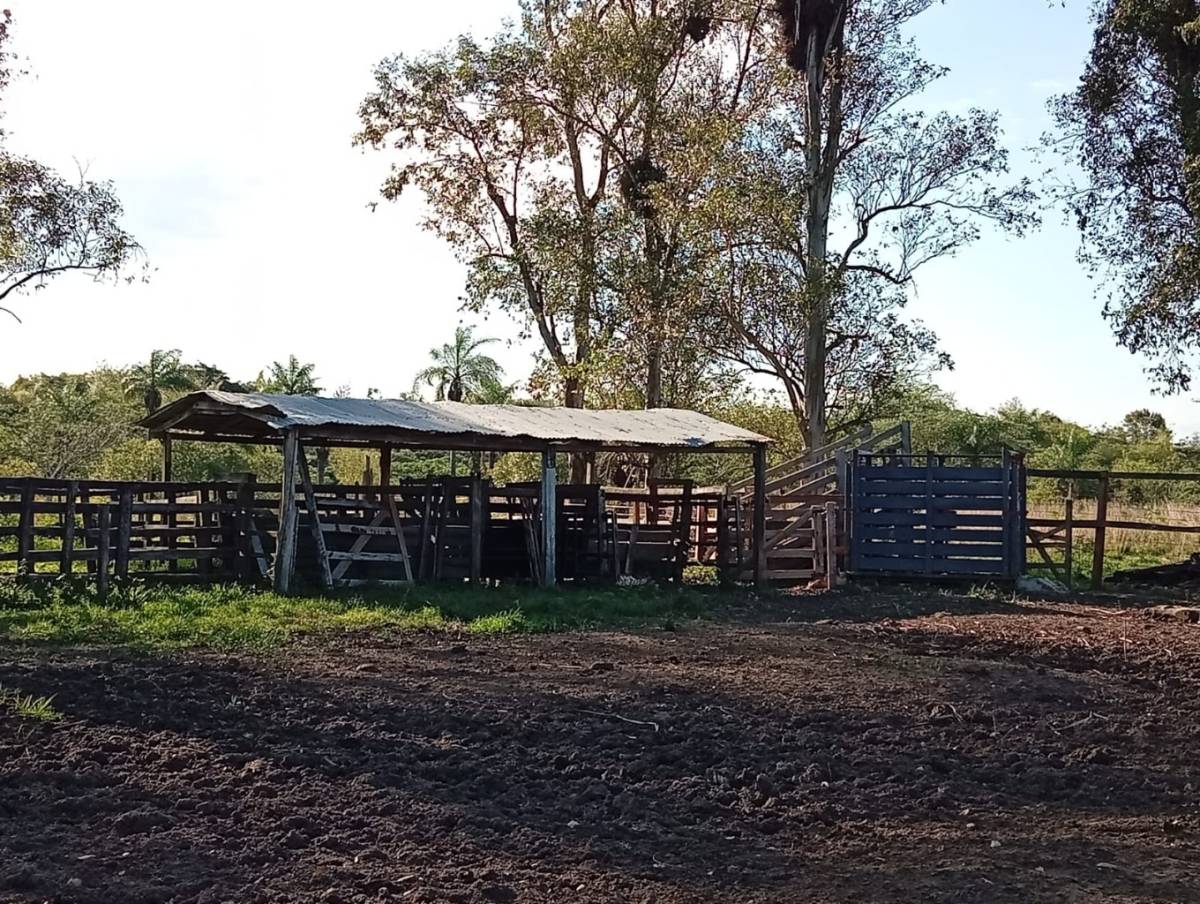 EN VENTA ESTANCIA DE 96 HECTAREAS GANADERA Y AGRICOLA — foto 3