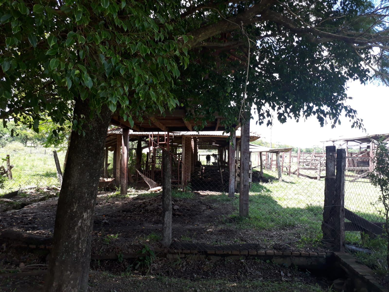 VENDO   Propiedad Rural  Arroyos y Esteros  Isla Guazu — foto 3