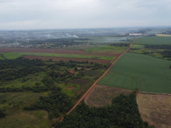 VENDO 40 HAS EN MINGA GUAZU — foto 3