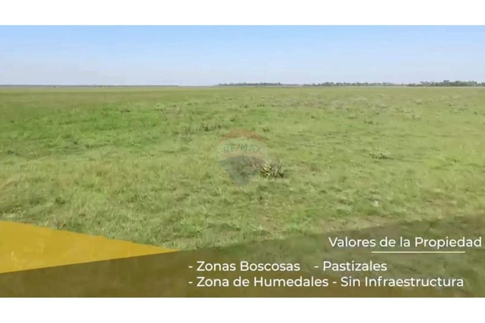 Estancia/Campo - Venta - Paraguay Ñeembucú Tacuaras — foto 2