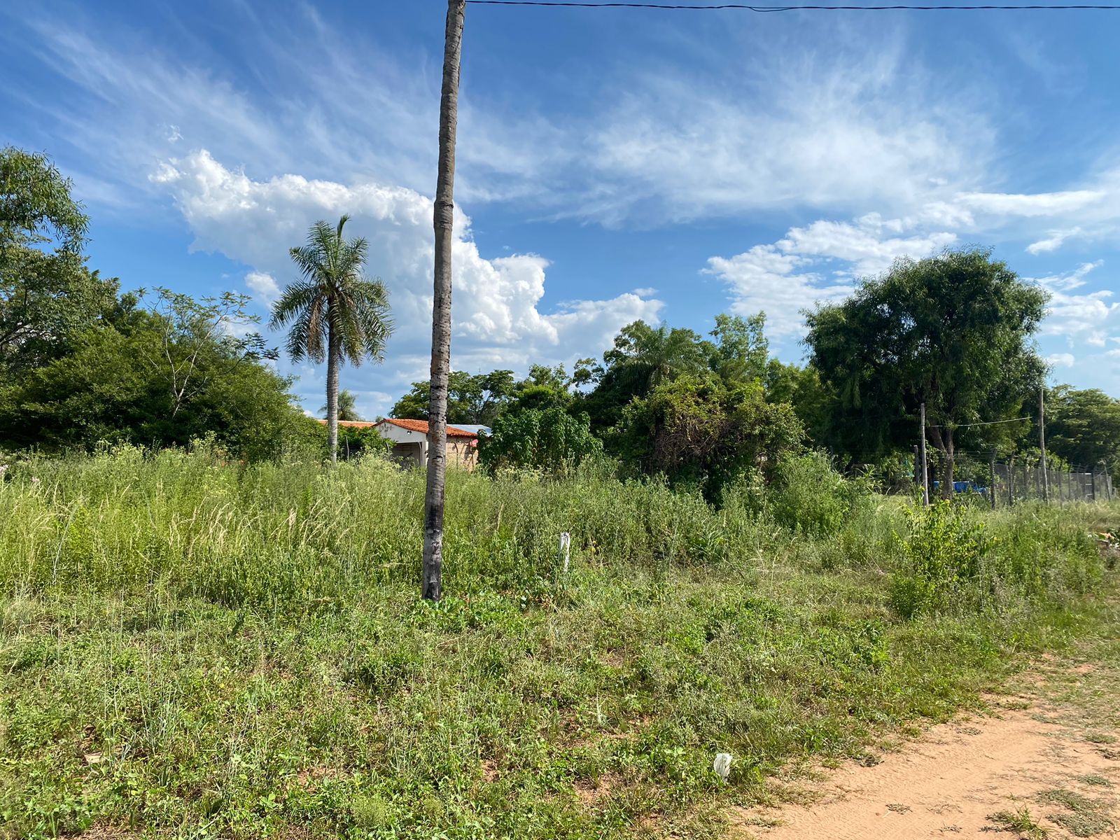 VENDO TERRENO EN LA CIUDAD DE ALTOS — foto 2