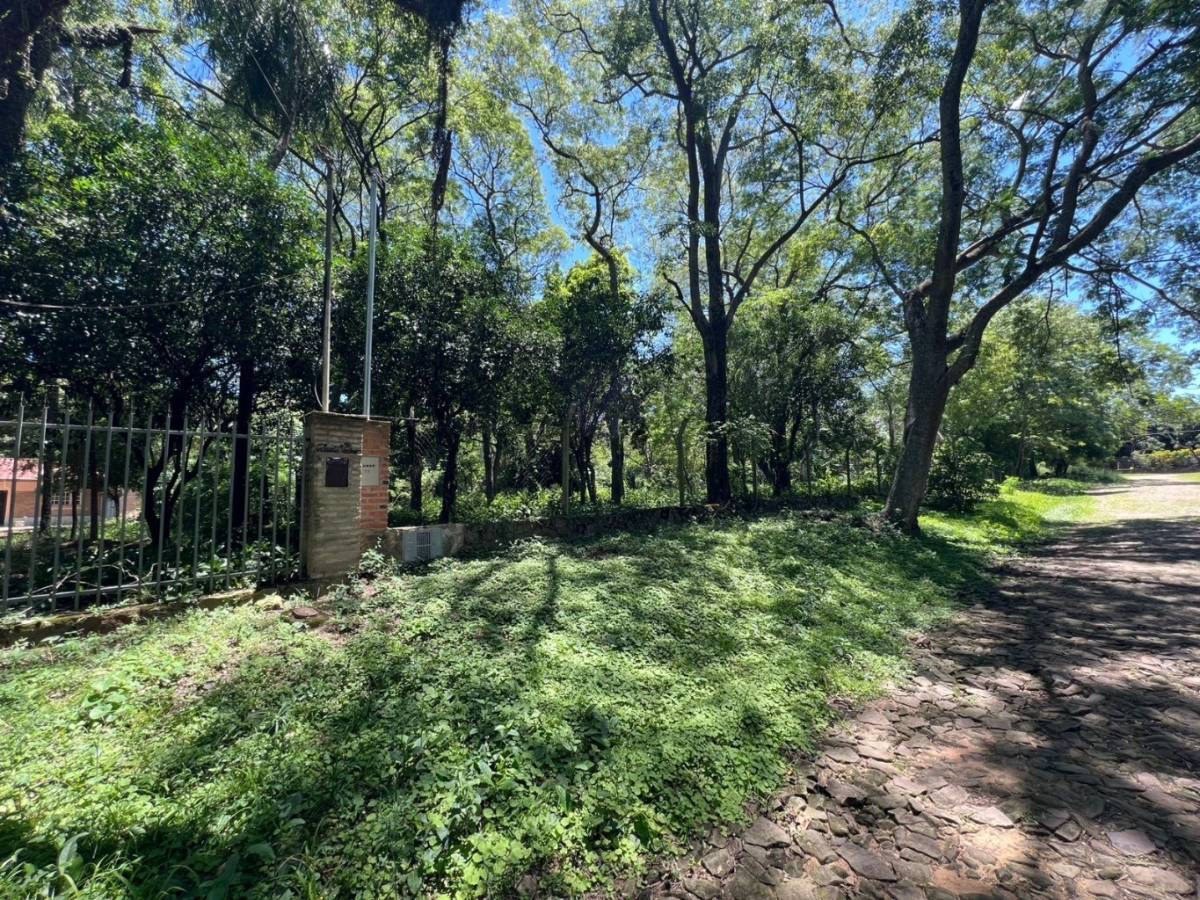 Terreno en Venta  San Bernardino, Barrio Cristóbal Colón — foto 2