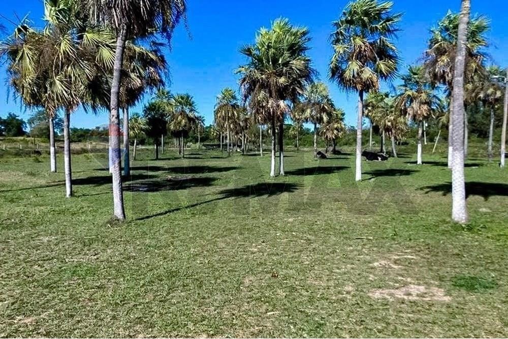VENDO ESTANCIA EN BENJAMIN ACEVAL 40 HECTAREAS — foto 3