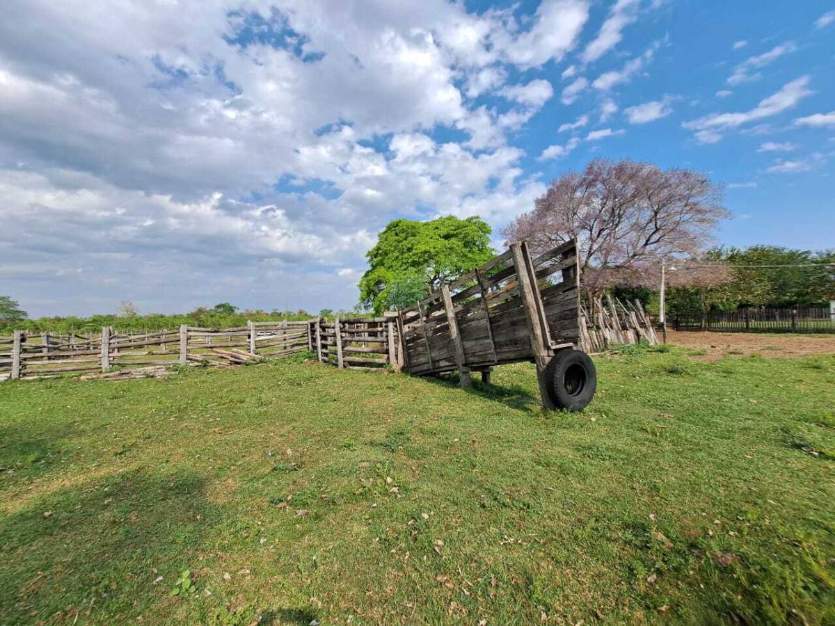 Estancia en venta con 319 ha. Concepción, Loreto. — foto 3