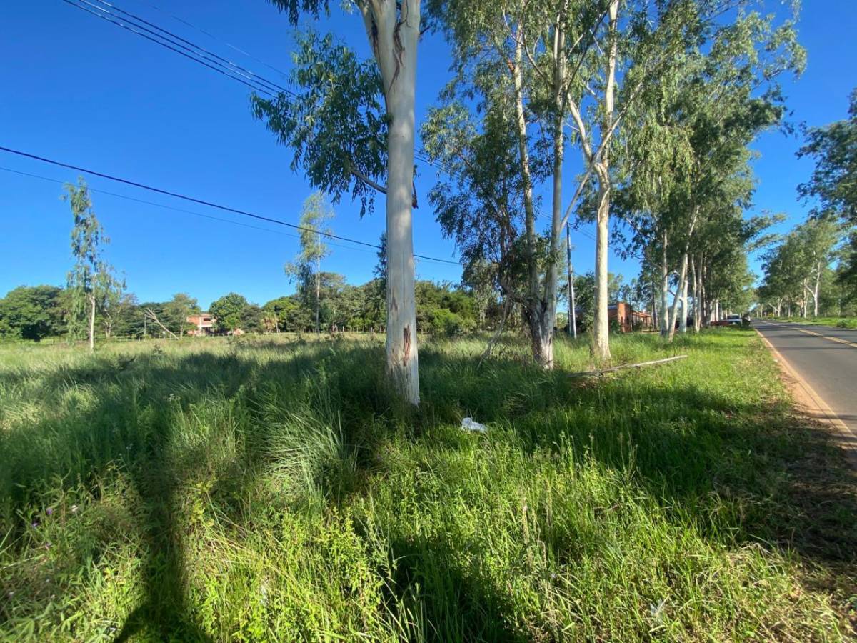 VENDO TERRENO EN VILLETA — foto 3